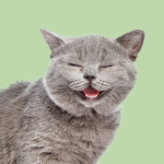 Nutrición Animal: Canina, Felina y Equina online